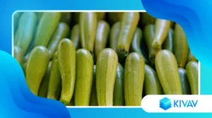 Tortini di zucchine e ricotta