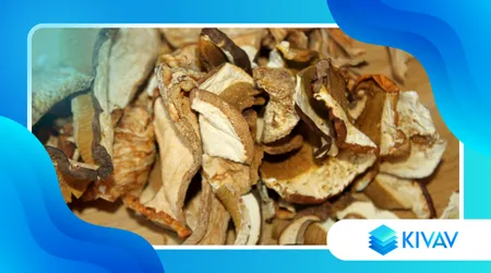 Funghi porcini secchi: come reidratarli e usarli al meglio