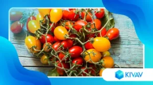 Pomodorini del Piennolo del Vesuvio: sapore unico e lunga conservazione