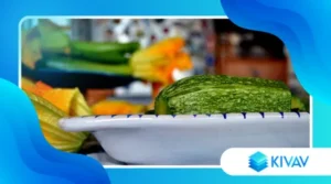 Pasta cremosa primaverile con zucchine e stracchino